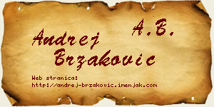 Andrej Brzaković vizit kartica
